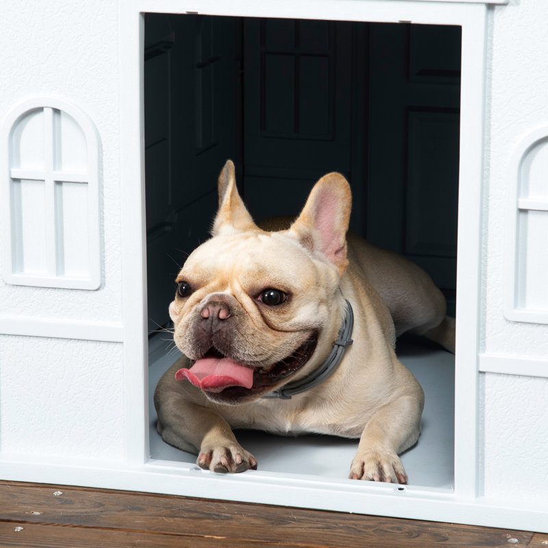 Blue Puppy House - Eau, fenêtre mignonne, convient aux chiens de taille moyenne et petite