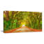 «Fall Greenery and Road Straight Ahead», impression-35061955-35061960