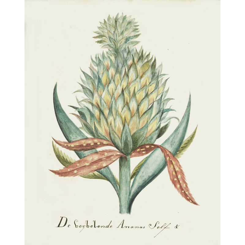 Pineapple Botanical par Linda