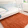 Anastyn Solid Colour Shag Area Rug