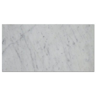 2.95 in. x 5.9 in. Marble Tile