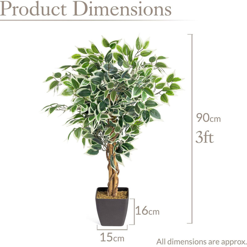 90cm Plant