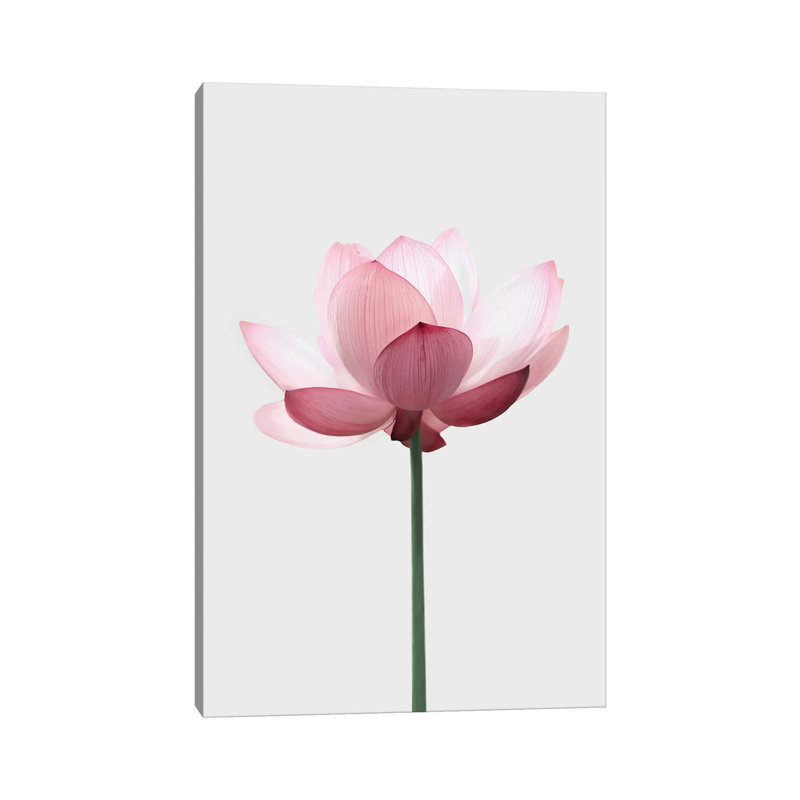 Lotus par Sissi et Seb - photographie sur toile tendue, H 26 po x l 18 po x 1,5 po