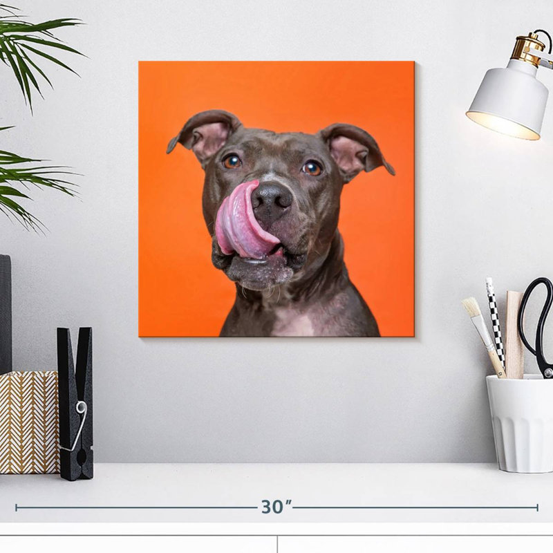 Crowle Silly Pet Pit Bull, H 16 po x l 16 po