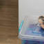 Rebrilliant Plastic Decorative Bin-2118100863