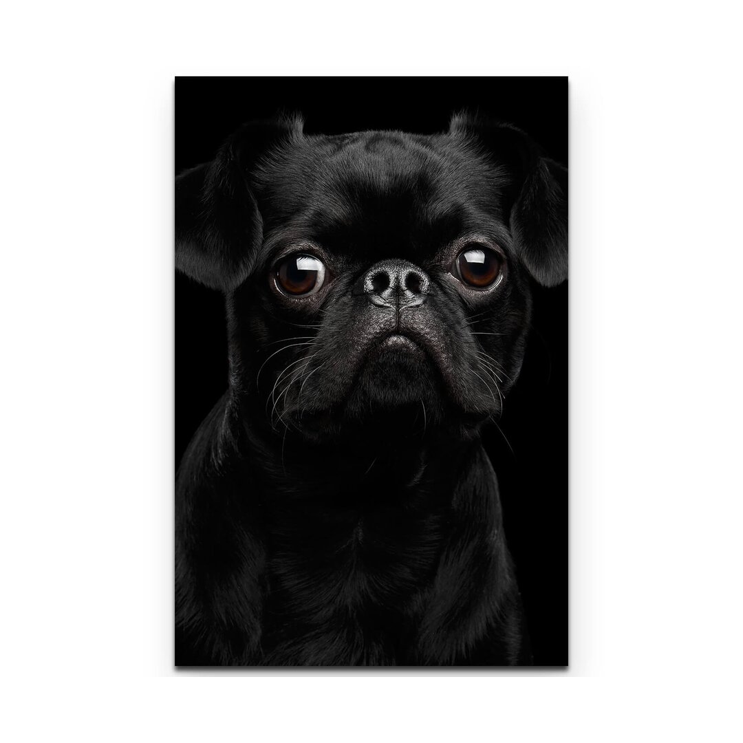 Leinwandbild Brabacon Hund – Portrait