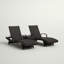 Billur Outdoor Chaise Lounge Set with Table-1853940577