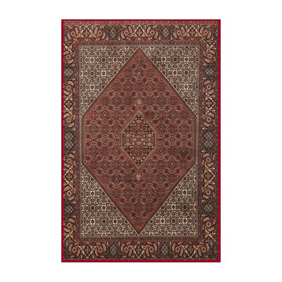 Oriental Indoor Rug