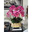 Helena Boat Planter With Phaleanopsis Orchids-387316239