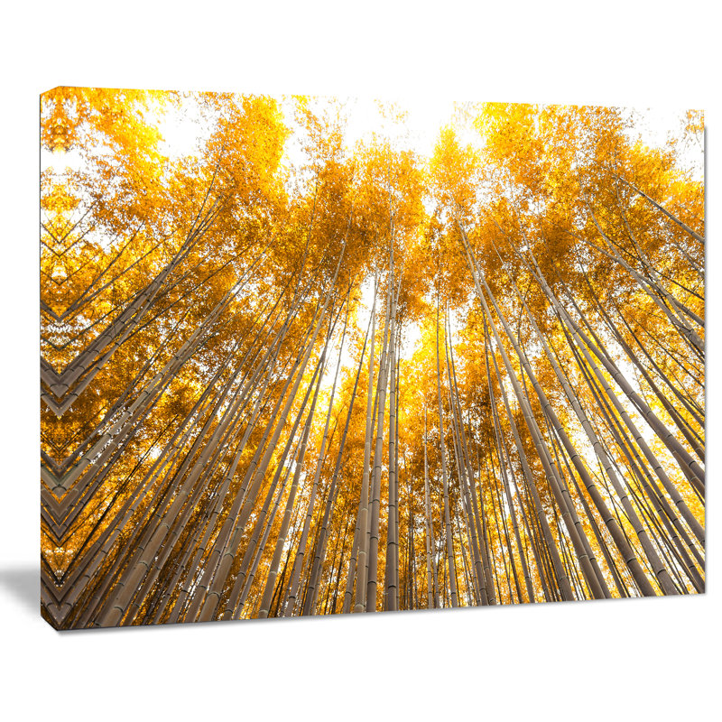 «Autumn Bamboo Grove», reproduction de photo sur toile tendue, H 8 po x l 12 po x P 1 po