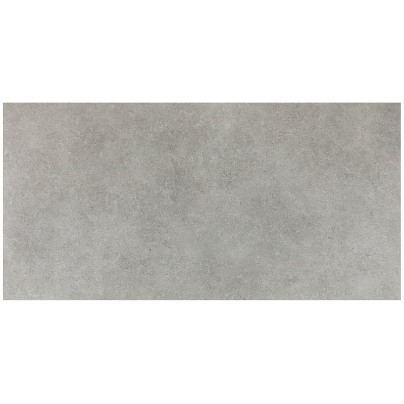 Haut Monde 24" x 48" Porcelain Concrete Look Floor Use Tile