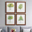 L'arbre I - ensemble de 4 reproductions d'art encadrées-1506622941-1506622940-1496819695