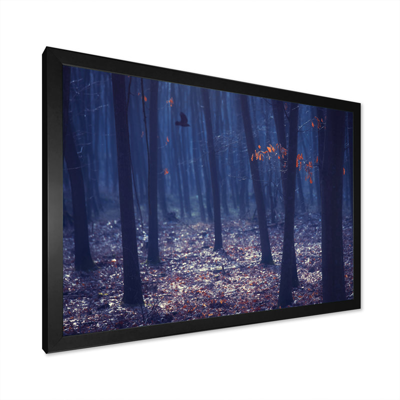 «Blue Mystic Birtch Forest», reproduction sur toile flottante, Cadre photo noir, H 8 po x l 12 po x P 1 po