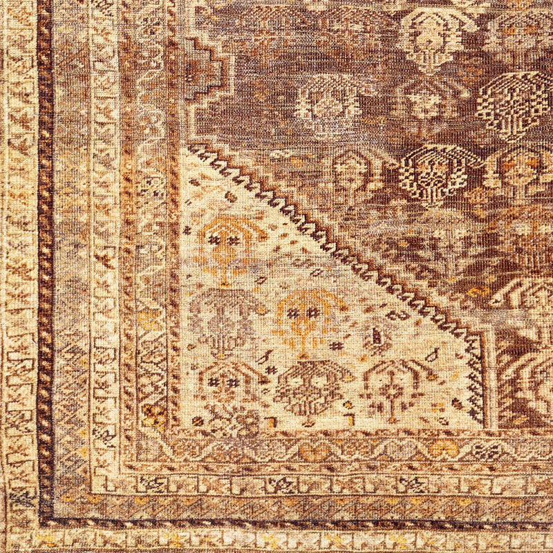Heyward Oriental Indoor Rug, Rectangle 8'10" x 12'