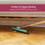 Adjustable Squeegees