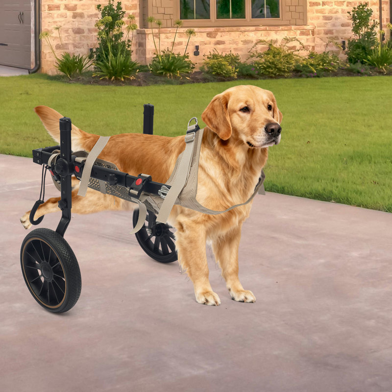Fauteuil roulant pour chien