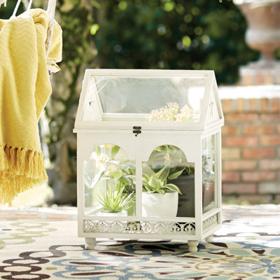 Handmade Glass Terrarium