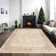 Monaco Series Abrstract Black/Gray/Ivory/Beige Area Rug