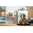 Abstract Indoor Rug-68311899