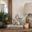 Raines Distressed Star-452672739-452663484