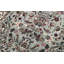 Wool Oriental Area Rug