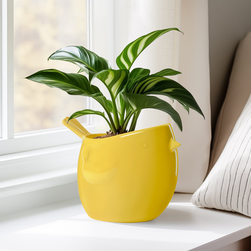  Zygi Bird Gloss Ceramic Planter Pot for 4" Nursery Pots (Yellow), Yellow