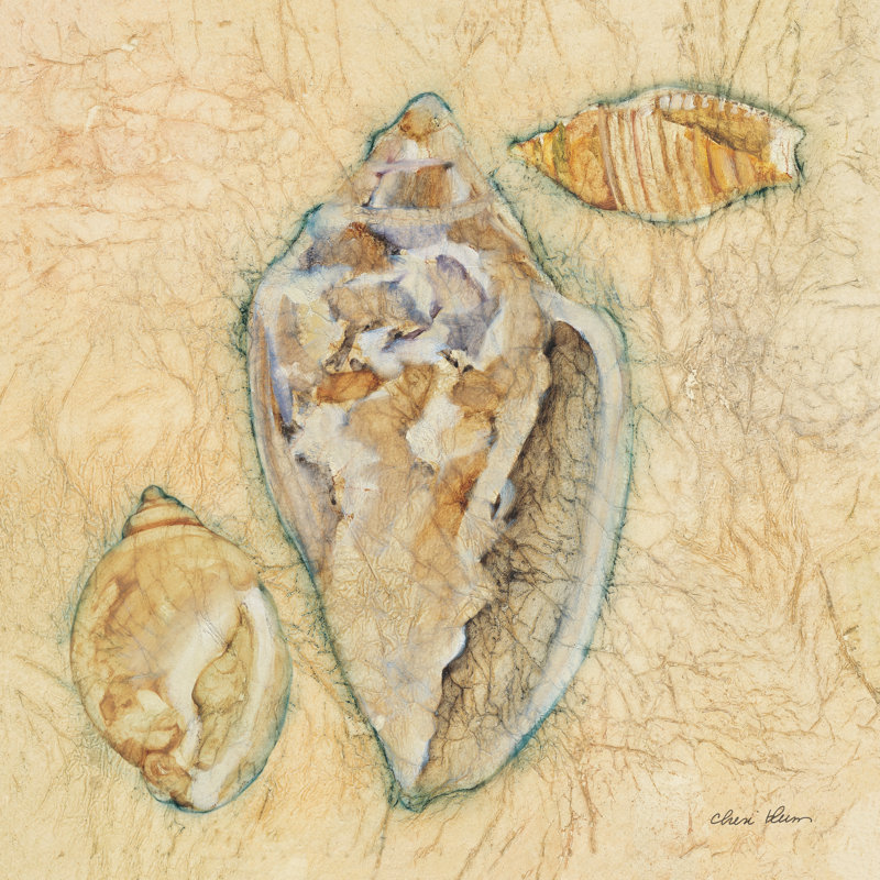 «Shells IV» par Cheri Blum, H 30 po x l 30 po