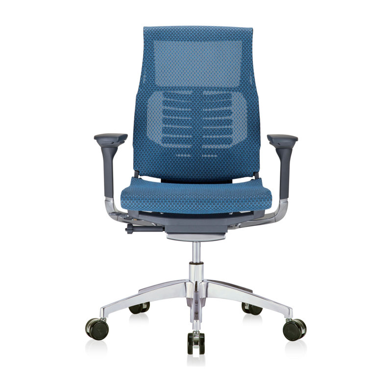 Fauteuil de direction ergonomique en filet, Bleu, Noir