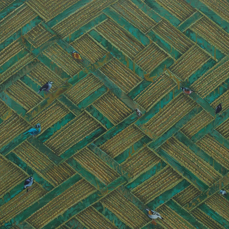 Oiseaux verts