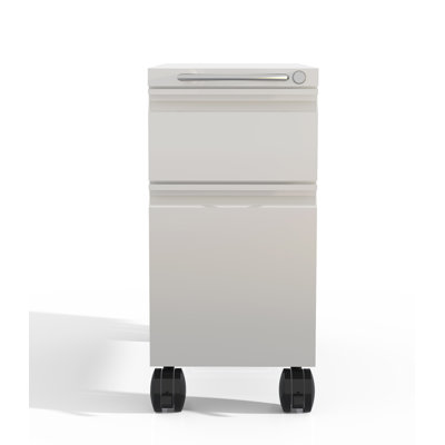 22'' Wide 2 -Drawer Mobile File Cabinet