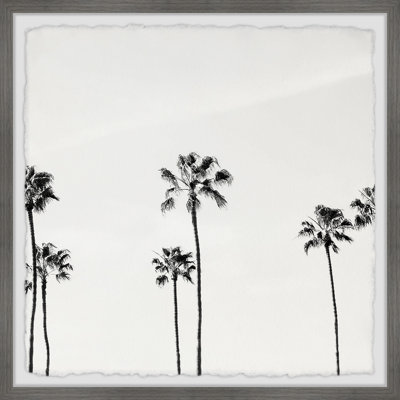 B&W Coco Trees - Single Picture Frame Print