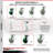 4 Piece Poly on Cast Iron Caster Set