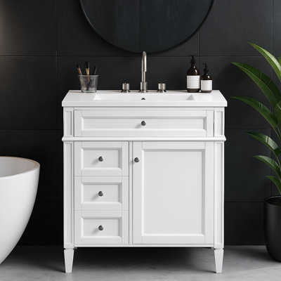 30" Bathroom Vanity with Single Sink Top, 2 Drawers & Tip-Out Drawer