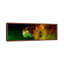 Stars Emerging From Orion's Head (Spitzer Space Observatory) - Floater Frame Panoramic Print on Canvas-701891633-701891632