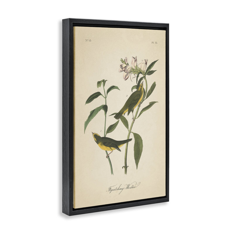 Toile flottante rétro encadrée par Wild Apple, Cadre flottant noir de jais, H 31 po x l 21 po