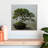 Harnek Pine Tree Bonsai-109231942