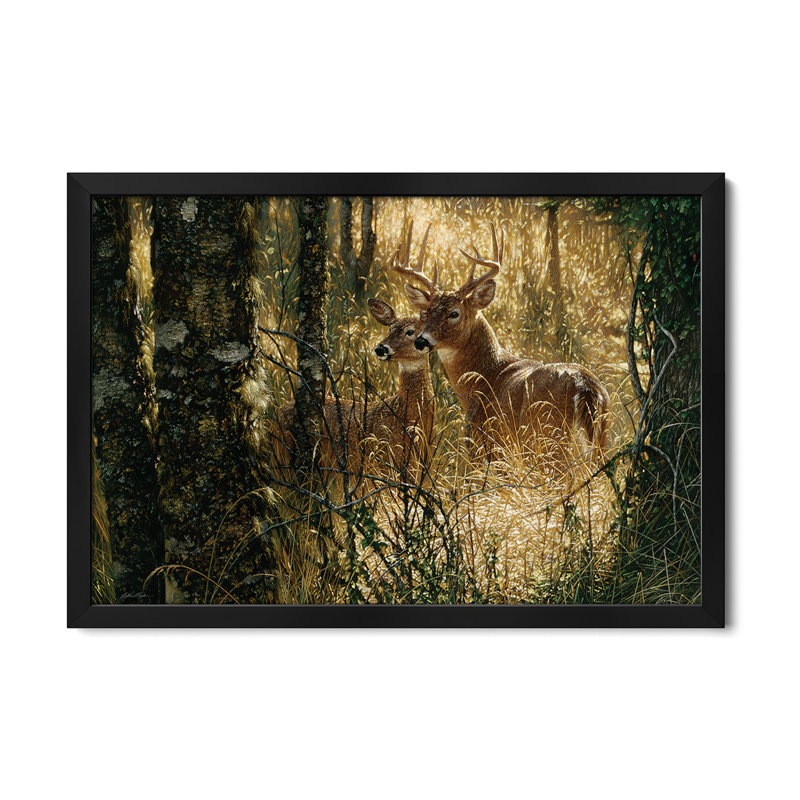 A Golden Moment - Whitetail Deer, affiche horizontale encadrée de qualité supérieure par Collin Bogle, H 16 po x l 24 po