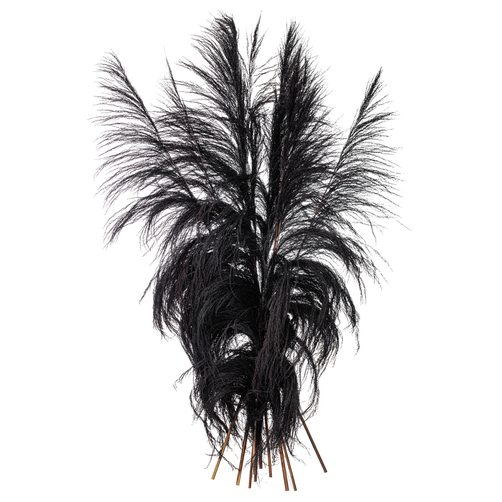 Lei 71'' Palm Plant, Black