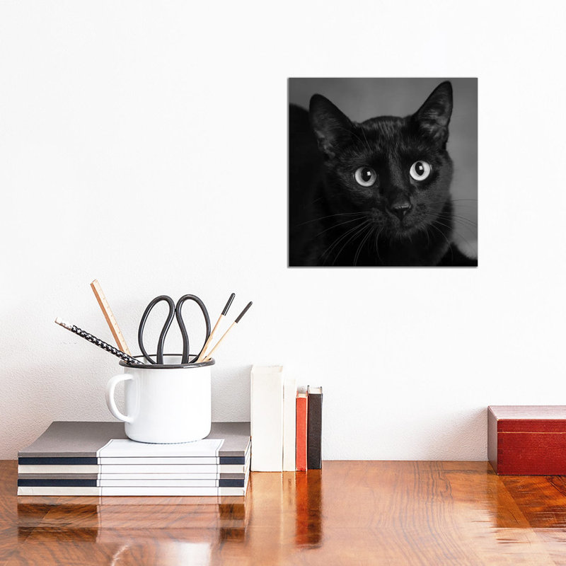 Portrait Of A Black Cat - Wrapped Canvas Print, 30.48 cm H x 30.48 cm W