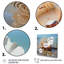 White Clam Ocean Whispers - Animals Canvas Wall Art-383513741-383513738