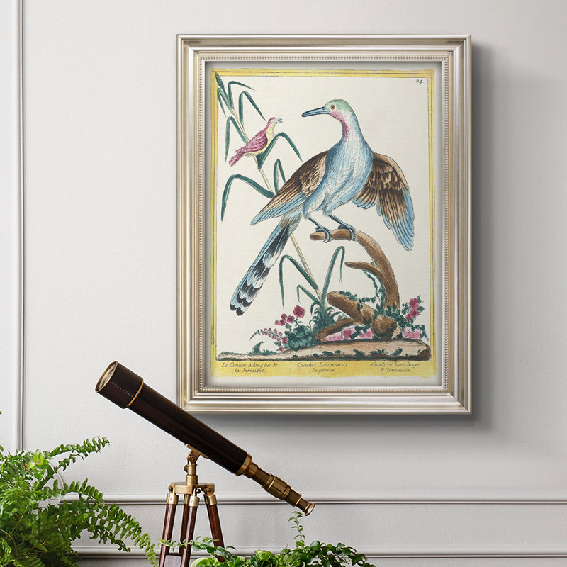 Oiseaux pastel V - imprimé, L 21 po x H 25 po
