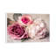 Bouquet by Symposium - Print on Canvas-636572120-636572127