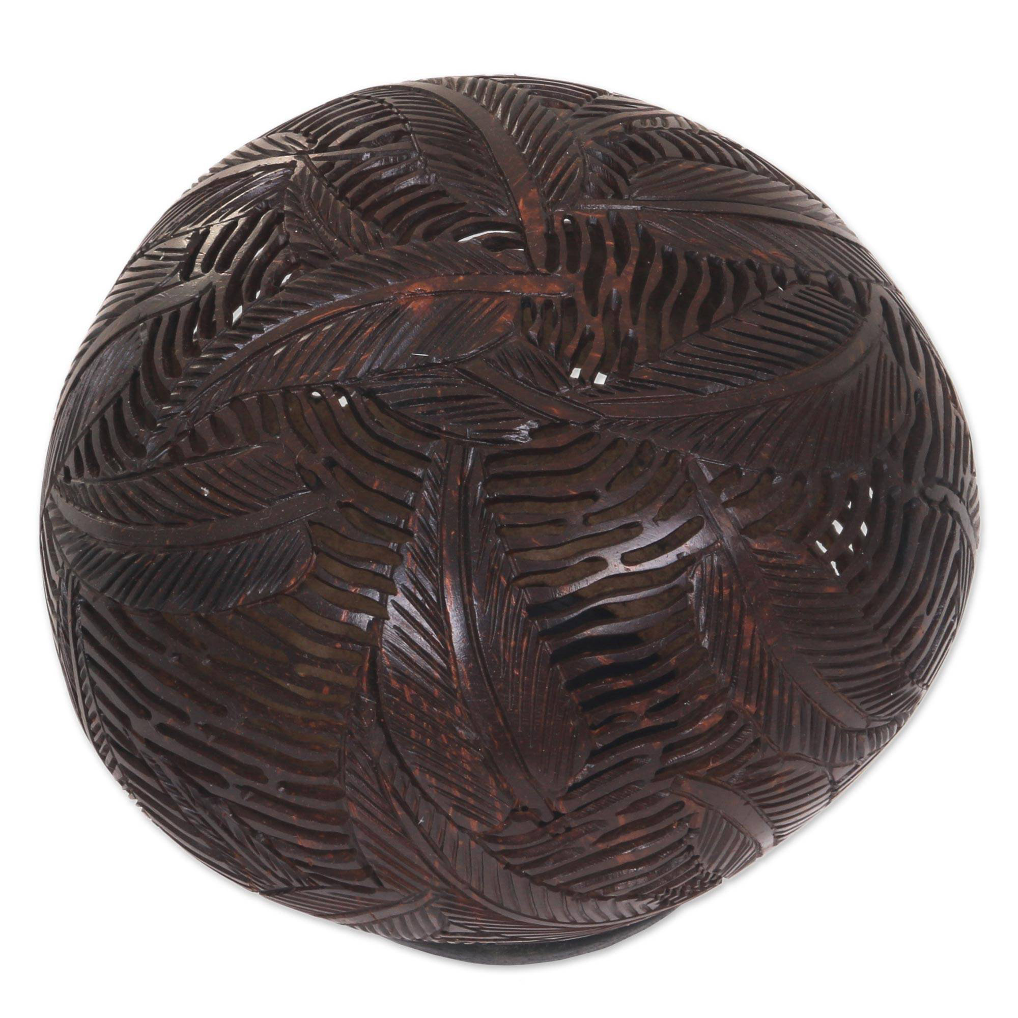 Photo inspiration: Picture Idea: Bayou Breeze Aiello Lush Leaves Tropical Coconut Shell Sculpture