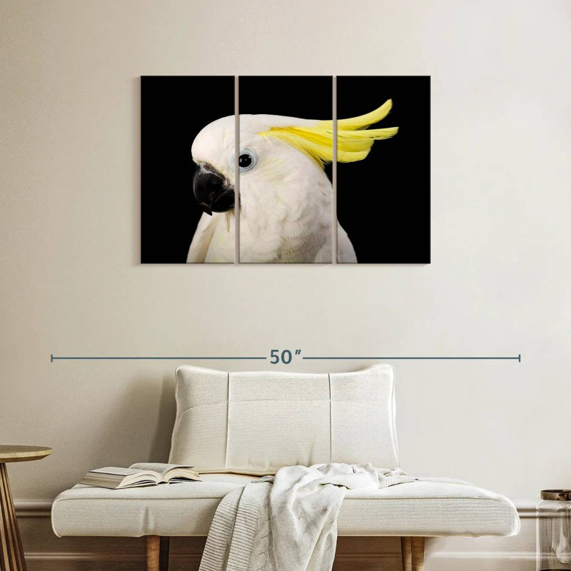 Brampt Sulfur Crested Cockatoo Head, 24" H x 38" W