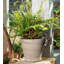 Cintre Panda Pot Buddy