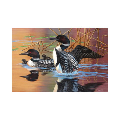 " Loon Family " by Cynthie Fisher