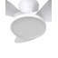60cm Ceiling Fan with LED Lights