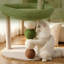Petite tour à chat avec lit, arbre à chat mignon pour chats d'intérieur, poteau à griffer en sisal avec jouet suspendu et boules en sisal, perchoir à plusieurs niveaux