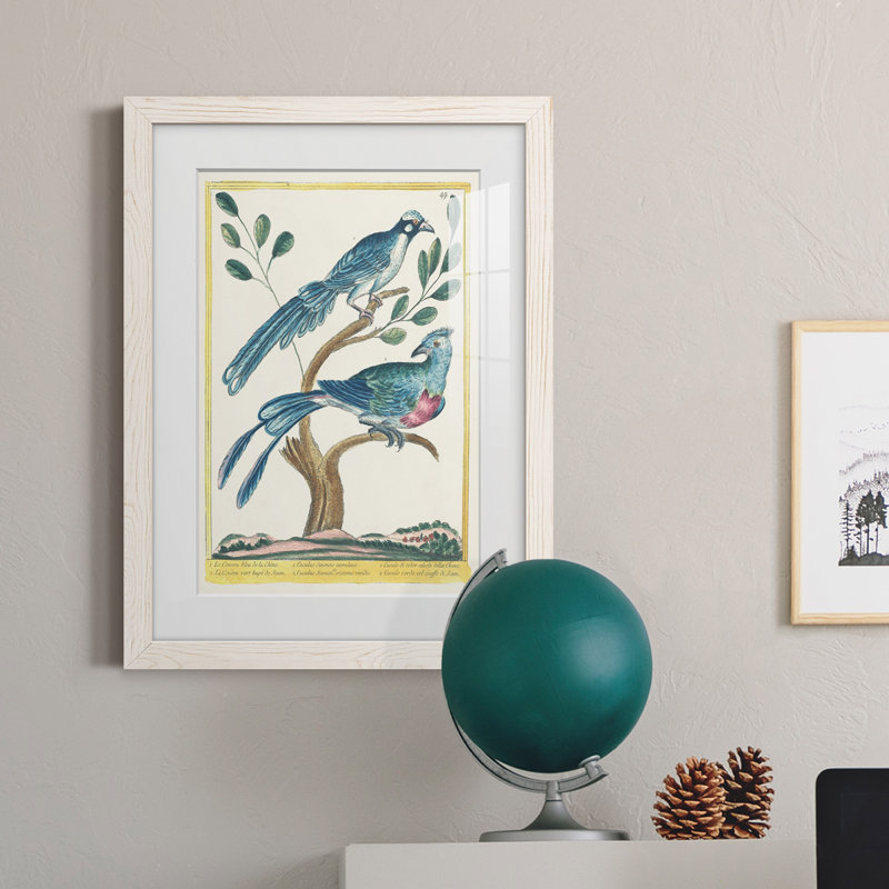 Pastel Birds VI Premium encadré mat - prêt à être accroché, H 24 po x l 20 po x P 1 po, Cadre blanc