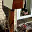 Customer photo 3 of 3